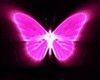 Flying pink Butterfly