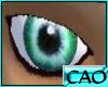 CAO Gazing Green Eyes(M)
