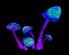 Mushroom,s A