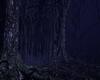 Midnight Purple Woods