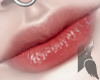 K. Noa Lips l