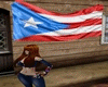 Puerto Rico Wall Flag