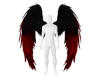 U Wings 3
