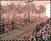 Pink Forest Walk Romance
