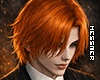ℳ. Devil Hair Ginger