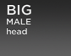 BIG mle head