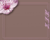{ZDK} Rose Pink Cargos