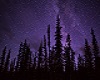 GalaxyWoodsBoxBackground