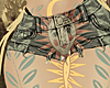 Sassy Festival Shorts