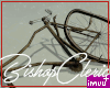 ༒ Ruined Bicycle