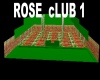 ROSE cLUB 1