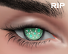 R. GR Eyes