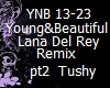 Young&Beautiful pt2 Rmx