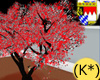 (K*)Dreamtree red/white
