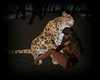 Leopard Animated