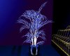 MZ Midnight Willow Plant