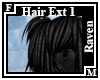 Raven Hair Ext 1