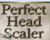 Accessories Scaler Heads