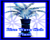 Blue Wave Plant