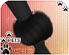 [Pets]Zorro |wrist fluff