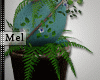 Mel*Easter Plant