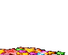 Star5Floaties