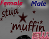 *E*Stud Muffin Head Sign