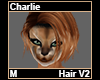Charlie Hair M V2