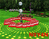Effect Rose Heart