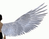 ANIMATED WING(WHITE)