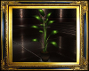 Elegant Plant 