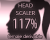 Head Scaler 117%