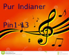 Pur Indianer