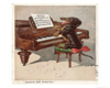Dog - Dachshund on Piano