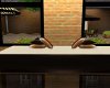 Summer Poseless Bench