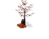 Rustic Autumn Pumpkins