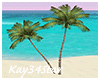 Beach Palm Trees 2