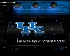 Ky Wildcats Pool Table