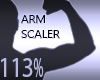 Arm Scaler Resizer 113%