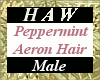 Peppermint Aeron Hair M