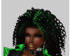 GREEN BLACK CURLY