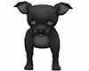 puppy black chihuahua