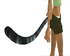 Black furry tiger tail