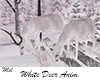 White Deers Anim. Winter