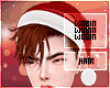 𝕎 Red Santa Ginger