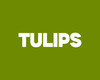 Tulips - Green