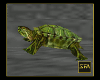 LW1 Turtle 1