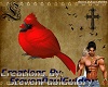 Red Winter Bird