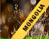 MGI MONGOLIA SASH
