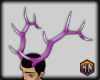 Antlers purple deer fur